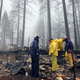 Emergency personnel and volunteers searching for human remains after the Camp Fire on Nov. 23rd.